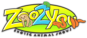 Zoo 2 You exotic animal shows